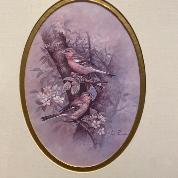 Vintage Nature Study of Chaffinches, Framed Print by Ruane Manning - Picture 2 of 3